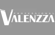 Logo Valenzza